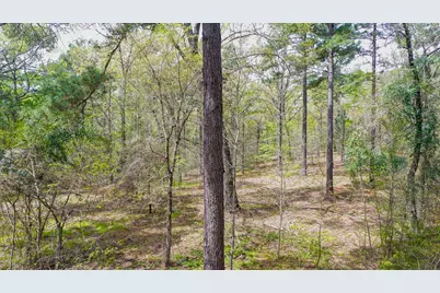 00 Fm 315, LaRue, TX 75770 - Photo 23