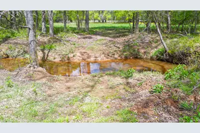 00 Fm 315, LaRue, TX 75770 - Photo 15