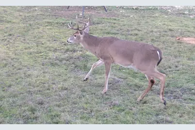 570 Pr 42103, Evant, TX 76525 - Photo 23