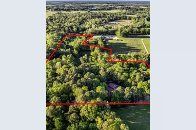 660 County Road 1334, Pittsburg, TX 75686 - Photo 3