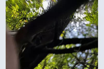 2200 Bear Creek Road, Cedar Hill, TX 75104 - Photo 11