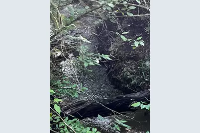 2200 Bear Creek Road, Cedar Hill, TX 75104 - Photo 5