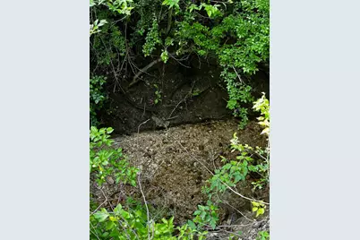 2200 Bear Creek Road, Cedar Hill, TX 75104 - Photo 3