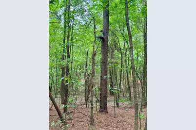 0000 Tucker Rd, Fort Towson, OK 74735 - Photo 17