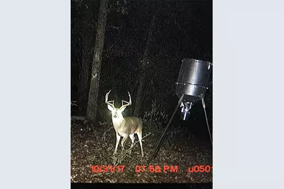 0000 Tucker Rd, Fort Towson, OK 74735 - Photo 25