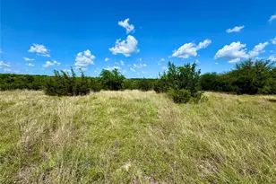 1145 Hidden Cove Trail, Glen Rose, TX 76690 - Photo 5