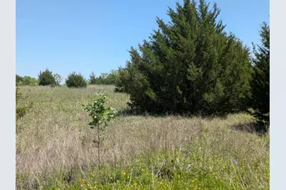 11008 County Road 670, Blue Ridge, TX 75424 - Photo 7