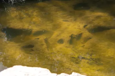 4403 Fm-205, Glen Rose, TX 76043 - Photo 35