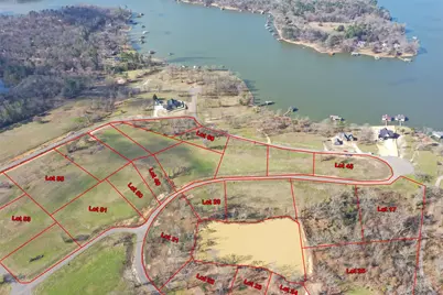 Lot 50 Southshores, Pittsburg, TX 75686 - Photo 5