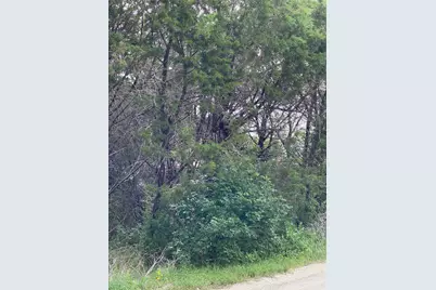 Tbd Western Lake Drive, Weatherford, TX 76087 - Photo 3