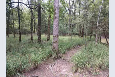 Tbd County Road 4700, Sulphur Springs, TX 75482 - Photo 23