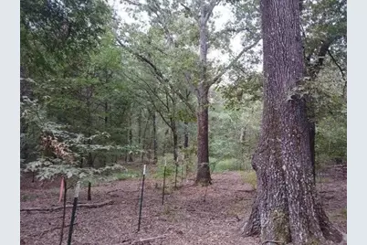 Tbd County Road 4700, Sulphur Springs, TX 75482 - Photo 21