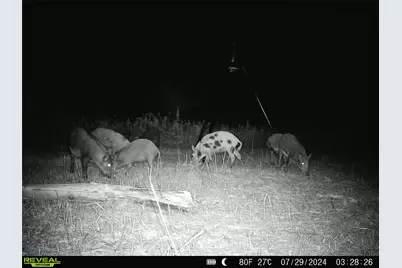 001 Fm 85, Ennis, TX 75119 - Photo 37