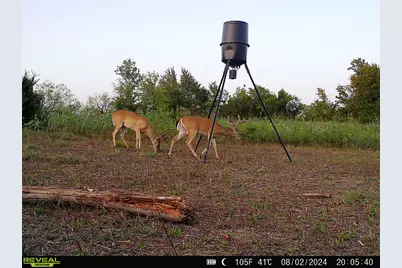 001 Fm 85, Ennis, TX 75119 - Photo 33