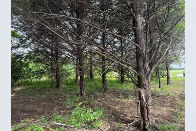 Tbd 2.824 Acres Fm 901, Gordonville, TX 76245 - Photo 7