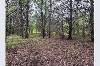 Tbd 2.824 Acres Fm 901, Gordonville, TX 76245 - Photo 5