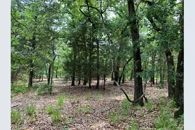 Tbd Fm 2494, Athens, TX 75751 - Photo 15