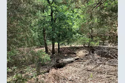 Tbd Fm 2494, Athens, TX 75751 - Photo 11