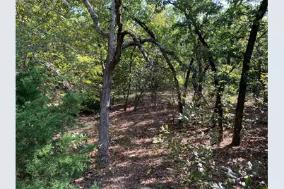 Tbd Hills Drive, Athens, TX 75751 - Photo 13