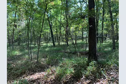 Tbd Hills Drive, Athens, TX 75751 - Photo 15