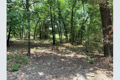 Tbd Hills Drive, Athens, TX 75751 - Photo 11