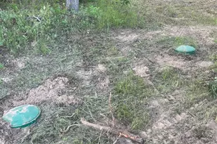 23318 County Rd 459, Mineola, TX 75773 - Photo 9