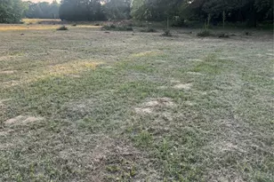 23318 County Rd 459, Mineola, TX 75773 - Photo 13