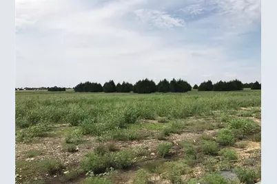 1310 Carroll Moran Trail, Midlothian, TX 76065 - Photo 1