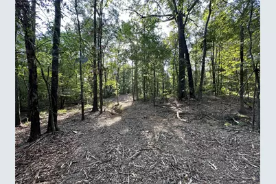 10.13 Acres Fm 852, Gilmer, TX 75644 - Photo 1