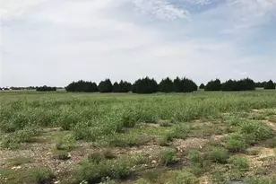 5220 Bravo Rd, Midlothian, TX 76065 - Photo 1