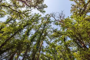 3510 1st St, Brownwood, TX 76801 - Photo 3