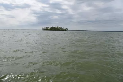 6465 Peninsula Road, Kerens, TX 75144 - Photo 31