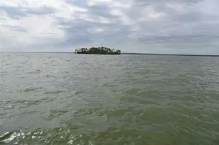 6465 Peninsula Rd, Kerens, TX 75144 - Photo 31