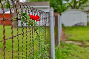 1102 Fair Ave, Gainesville, TX 76240 - Photo 17