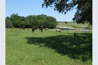 Tbd Fm-1655, Bridgeport, TX 76426 - Photo 9