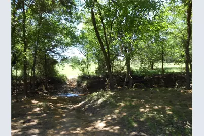 Tbd Fm-1655, Bridgeport, TX 76426 - Photo 13