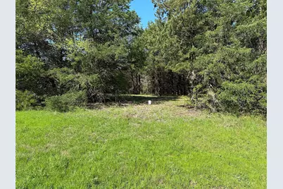 Tract 1 Farm To Market 1743, Honey Grove, TX 75446 - Photo 11