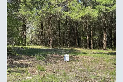 Tract 1 Farm To Market 1743, Honey Grove, TX 75446 - Photo 3