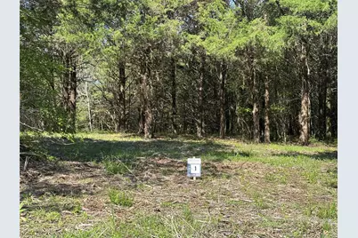 Tract 1 Farm To Market 1743, Honey Grove, TX 75446 - Photo 3