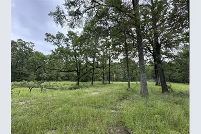 Tbd Rs County Road 3360, Emory, TX 75440 - Photo 3