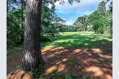 19785 State Highway 155 S, Flint, TX 75762 - Photo 13