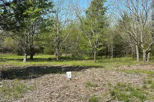 Tract 3 Farm To Market 1743, Honey Grove, TX 75446 - Photo 1