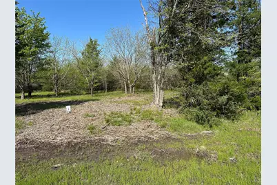 Tract 3 Farm To Market 1743, Honey Grove, TX 75446 - Photo 5