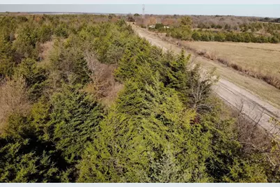 Tract 4 Farm To Market 1743, Honey Grove, TX 75446 - Photo 11