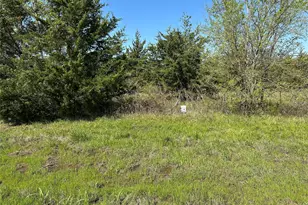 Tract 4 Farm To Market 1743, Honey Grove, TX 75446 - Photo 1