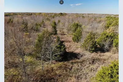 Tract 5 Farm To Market 1743, Honey Grove, TX 75446 - Photo 7