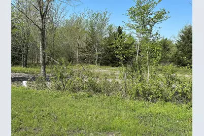 Tract 6 Farm To Market 1743, Honey Grove, TX 75446 - Photo 9