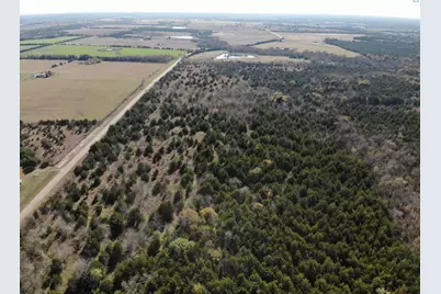 Tract 6 Farm To Market 1743, Honey Grove, TX 75446 - Photo 15