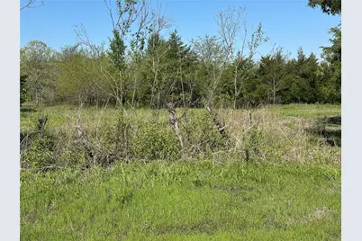 Tract 6 Farm To Market 1743, Honey Grove, TX 75446 - Photo 7