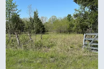 Tract 6 Farm To Market 1743, Honey Grove, TX 75446 - Photo 5